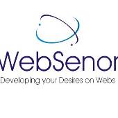 Websenor Infotech Websenor Infotech